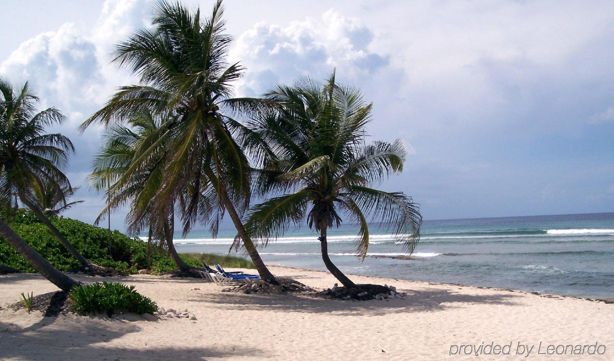 Hibiscus Beach Resort Christiansted Exterior foto